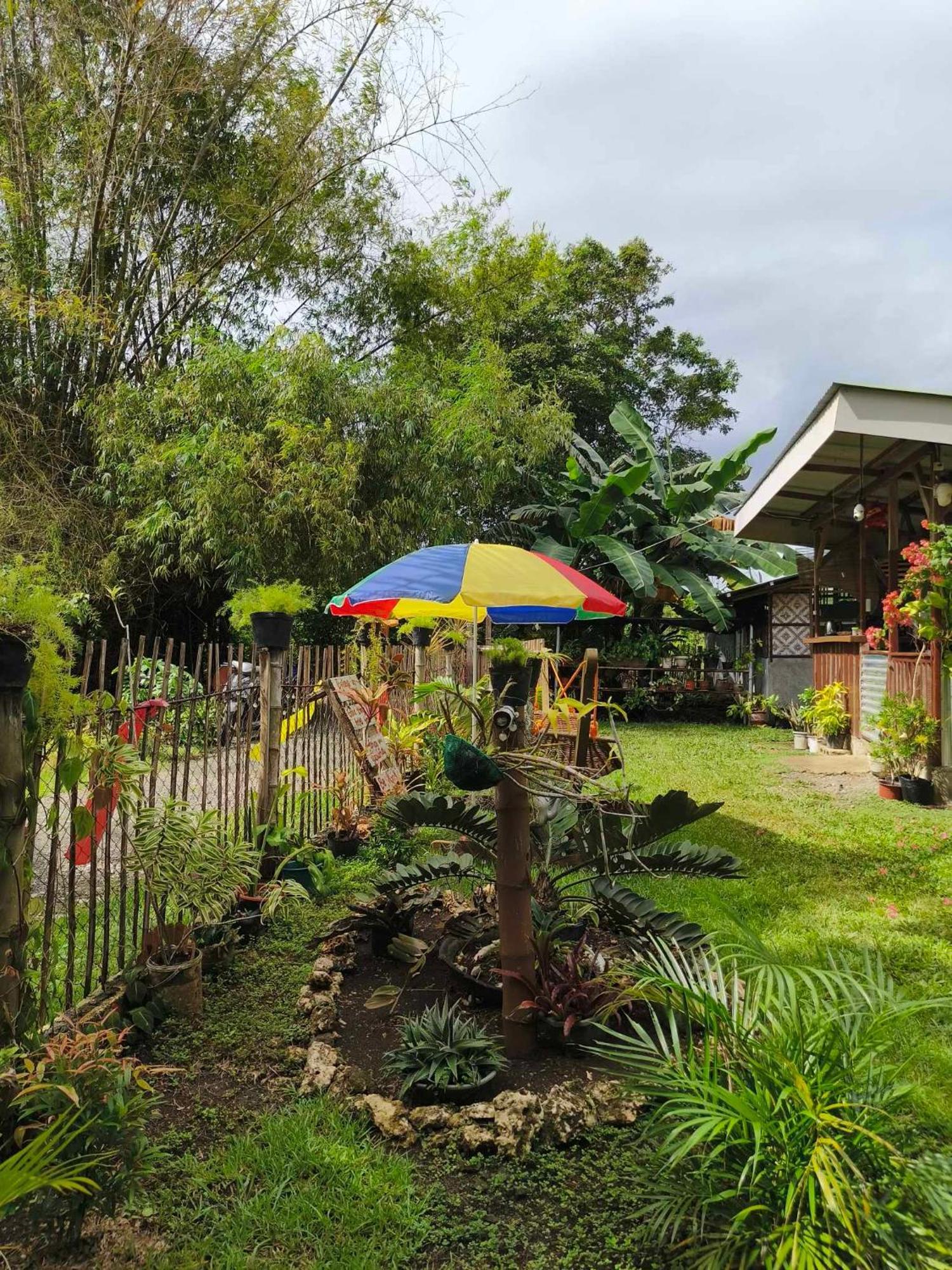 Lagkaw Uno In Lagkaw Homestay Panglao Exterior foto