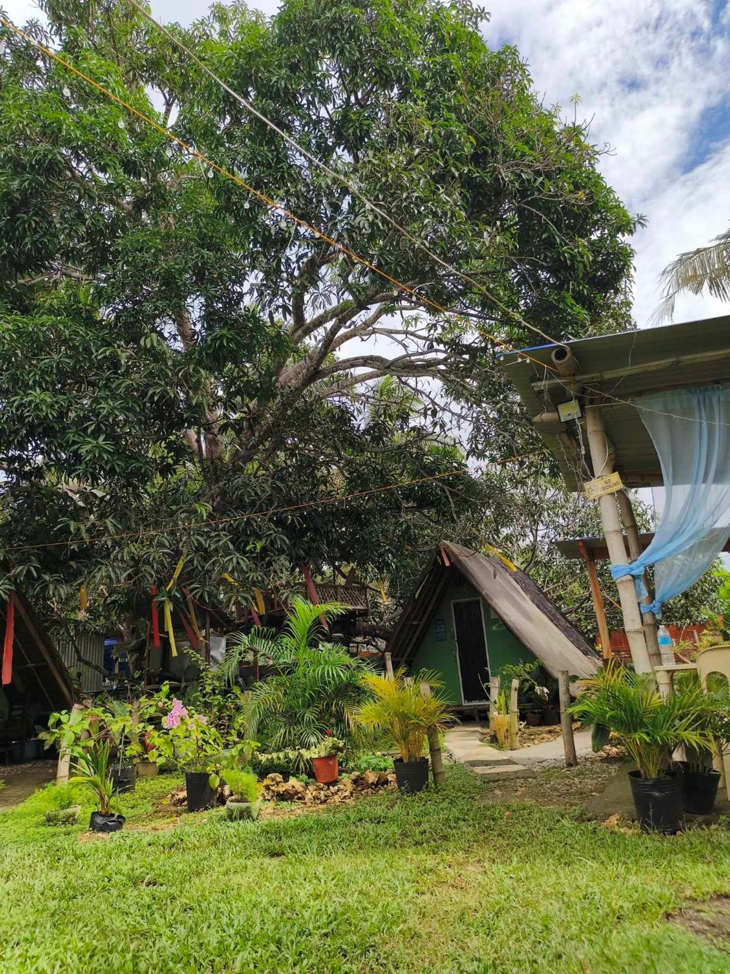 Lagkaw Uno In Lagkaw Homestay Panglao Exterior foto